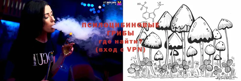 МЕГА   Дагестанские Огни  Псилоцибиновые грибы мухоморы 